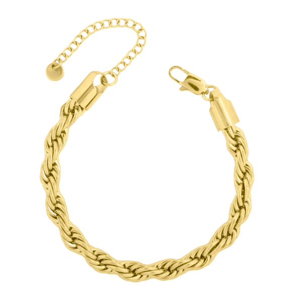 Velvet Rope Bracelet in Gold