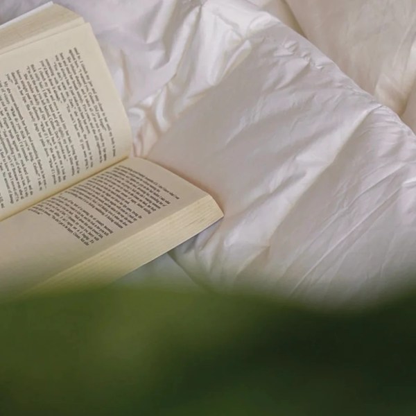 weavia Microfiber Duvet , High-quality microfiber , multi sizes