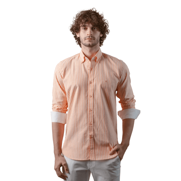 Roban striped washed oxford regular fit shirt - Multi Color - Multi size