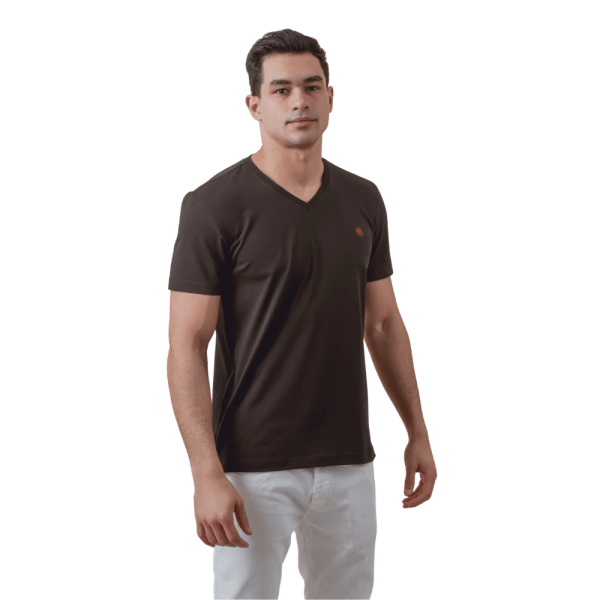 Roban cotton v-neck slim fit t-shirt - Multi Color - Multi size