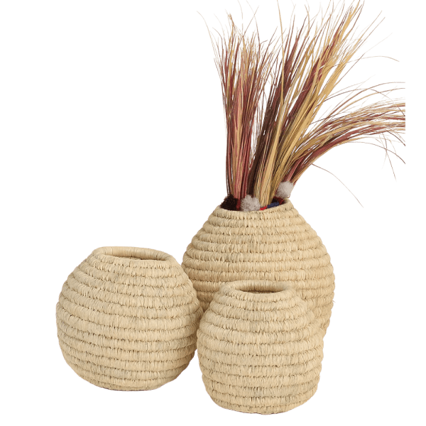 Handwoven Palm Fiber Vase Set – Natural Finish