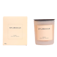 Splendour Musk Scented Candles - 150 gm